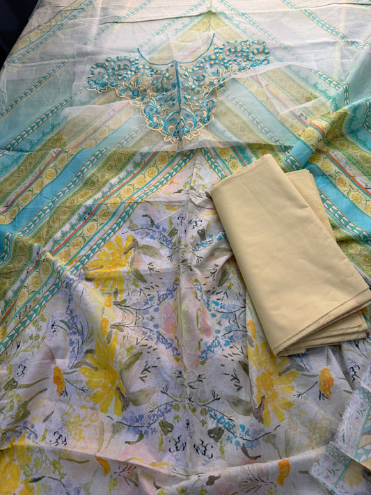 Mushq Roheenaz lawn
